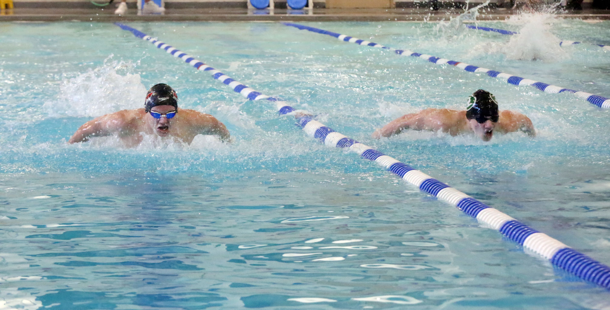 Ocean City Ridley Swimming